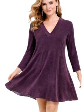 Anthropologie Dolan Left Coast Purple Toute Swing Dress Small